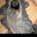 Blonde Ombre Lace Front 22 Inch Wig