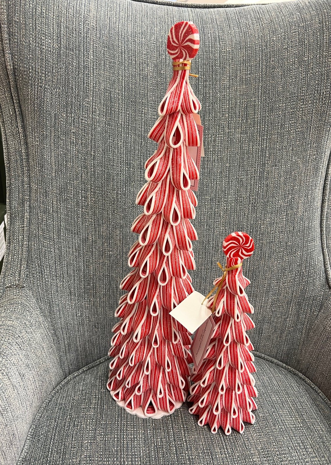 2 Peppermint tree !