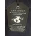 Anatomie Elodie Travel Dress NWT Short Sleeve A-line Knee Length Womens Sz XS