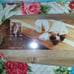 The pioneer woman products