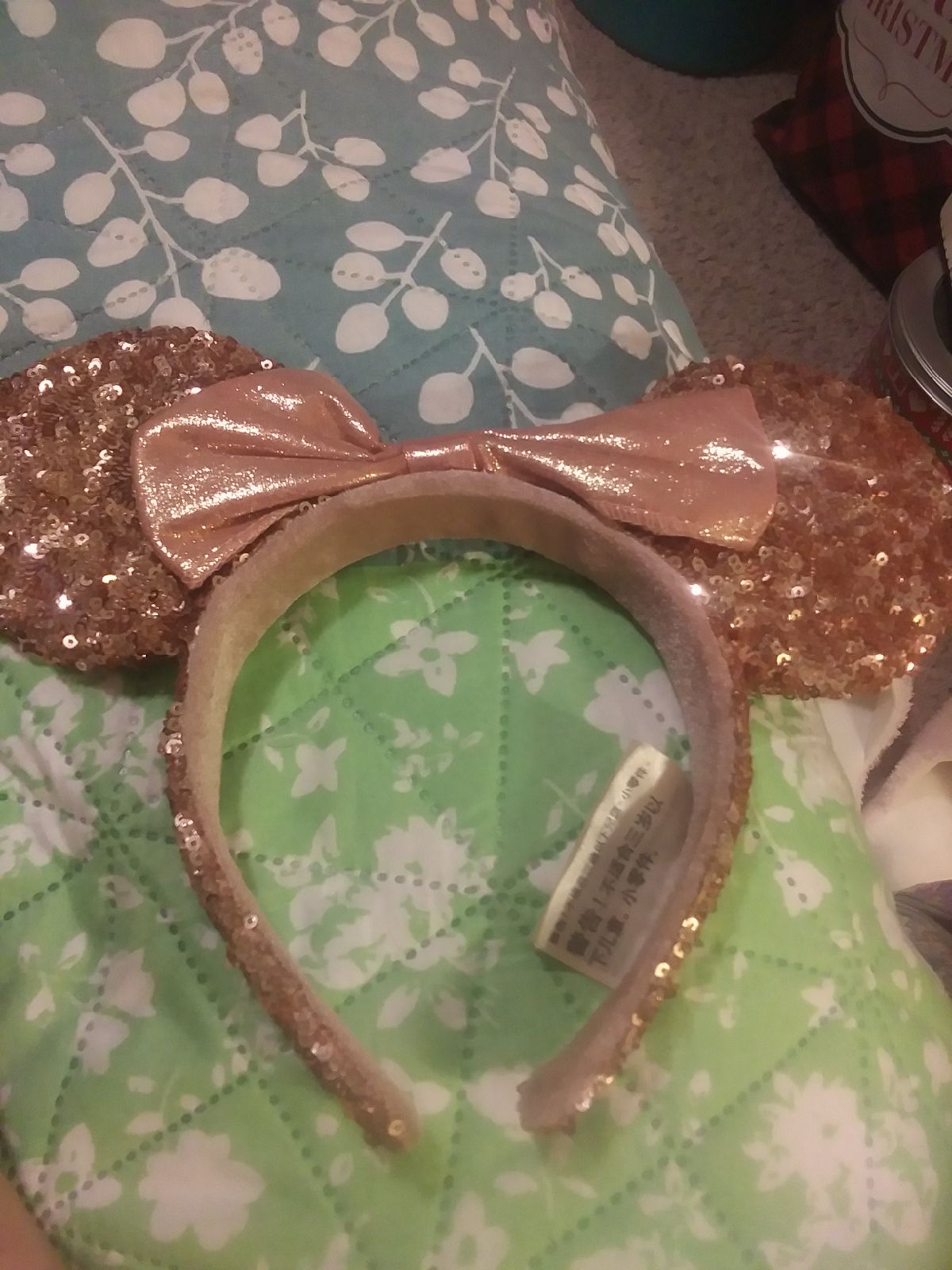 Disney parks ears