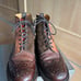 NEPENTHES Nepenthes × Tricker's 9
