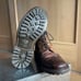 NEPENTHES Nepenthes × Tricker's 9