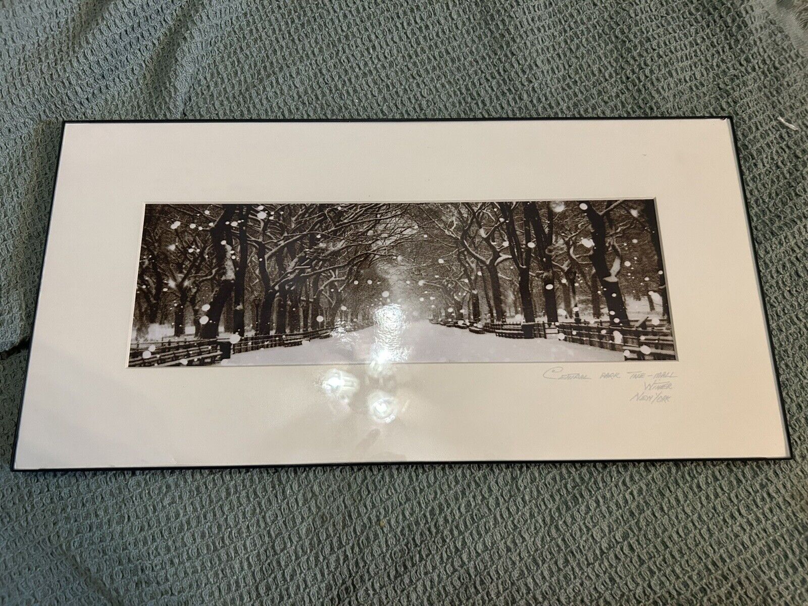 Framed Picture Print Art Central Park The Mall Winter New York