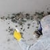 Diy Mold Test Air quality humidity crawl space moisture Professional Pump Save