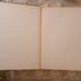 1961 BIRDS OF THE WORLD Austin Singer 1st Printing Color Illustrations HC