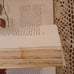 1961 BIRDS OF THE WORLD Austin Singer 1st Printing Color Illustrations HC