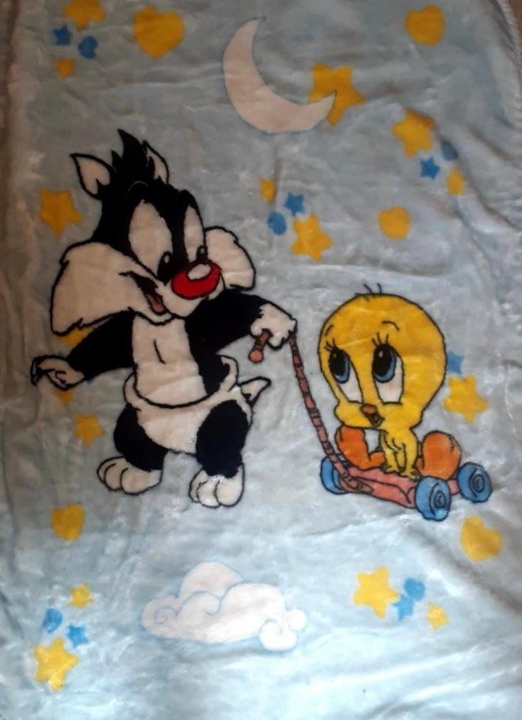 Vintage Baby Looney Tunes 2001 blanket