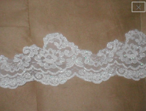 Vintage iridescent Re-embroidered Lace Border Trim
