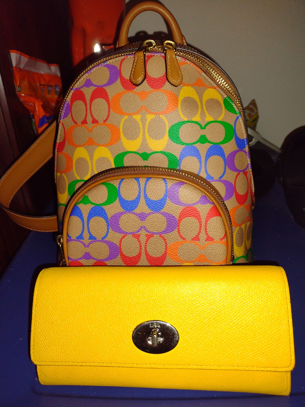 coach pride backpack