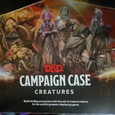 Dungeons & Dragons campaign case