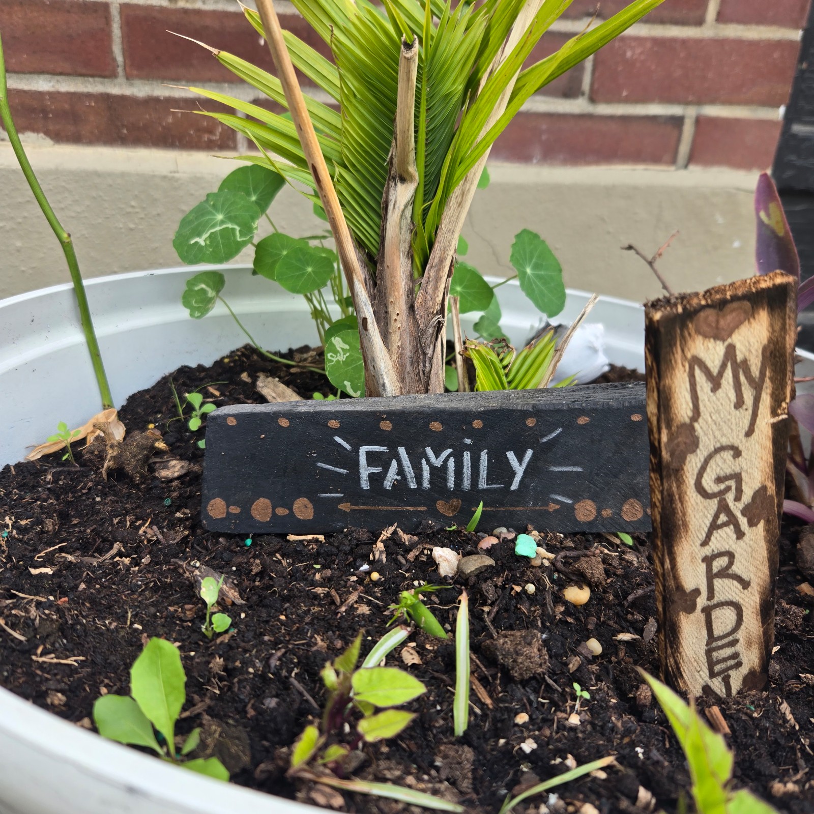 Garden wood sign decor