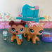 Auth LPS Lot: Collie #58 paws-down & Orange puzzle blue eye cat #525 w 5 access