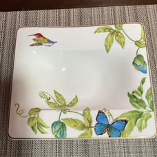 NEW Villeroy & Boch Amazonia Rimmed Soup Bowl. Made in Germany .