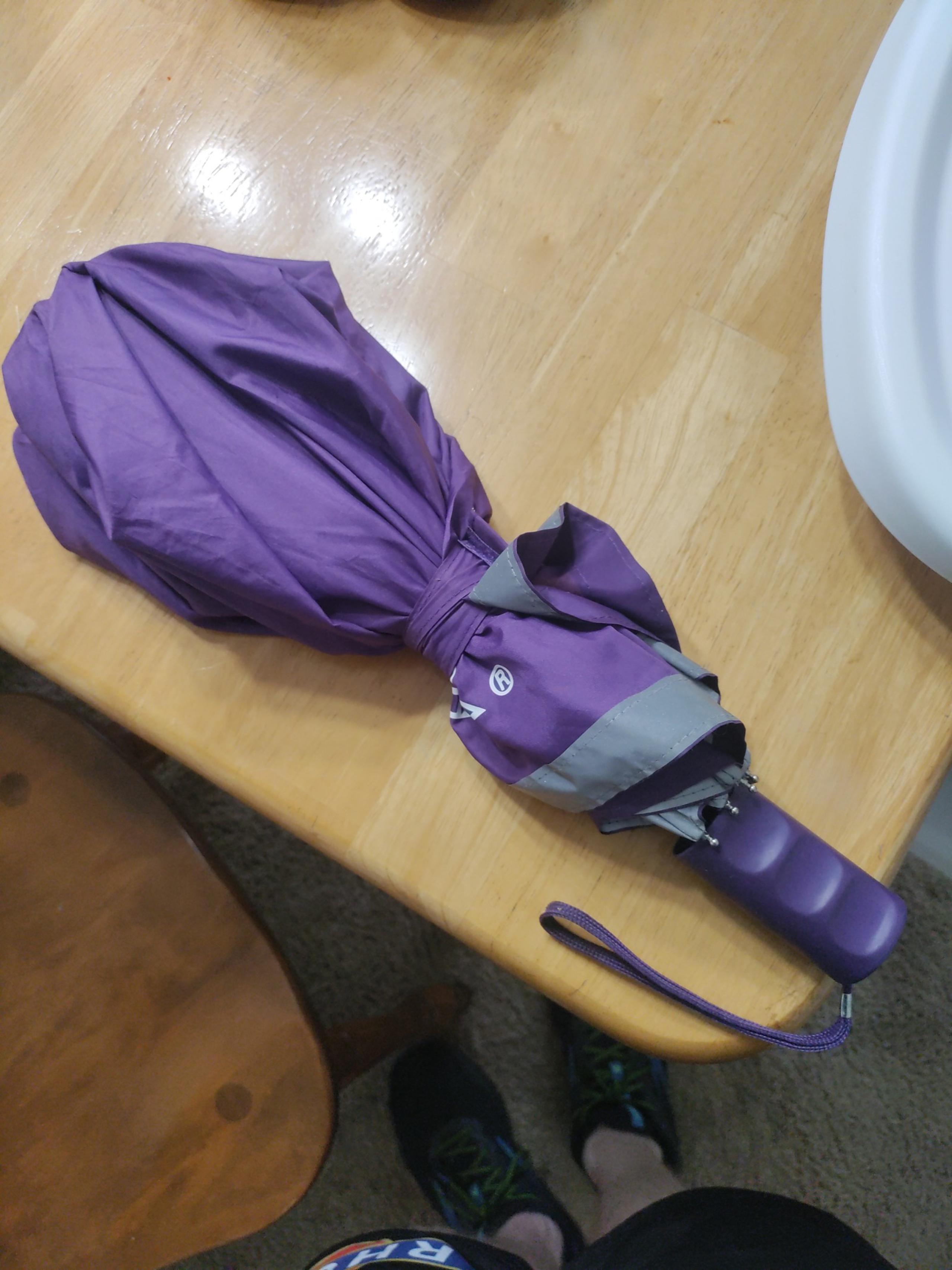 FedEx Worker Umbrella from 2017