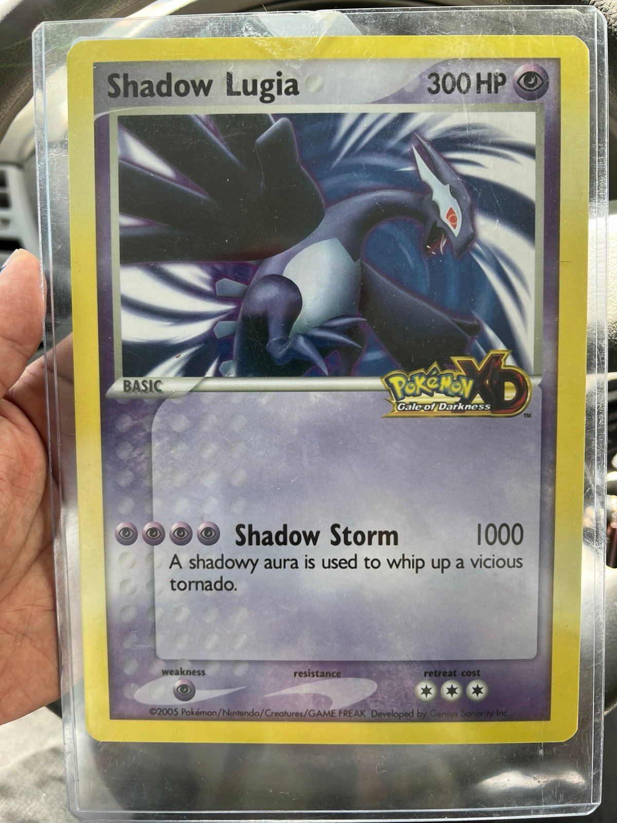 Jumbo Pokemon promo cards