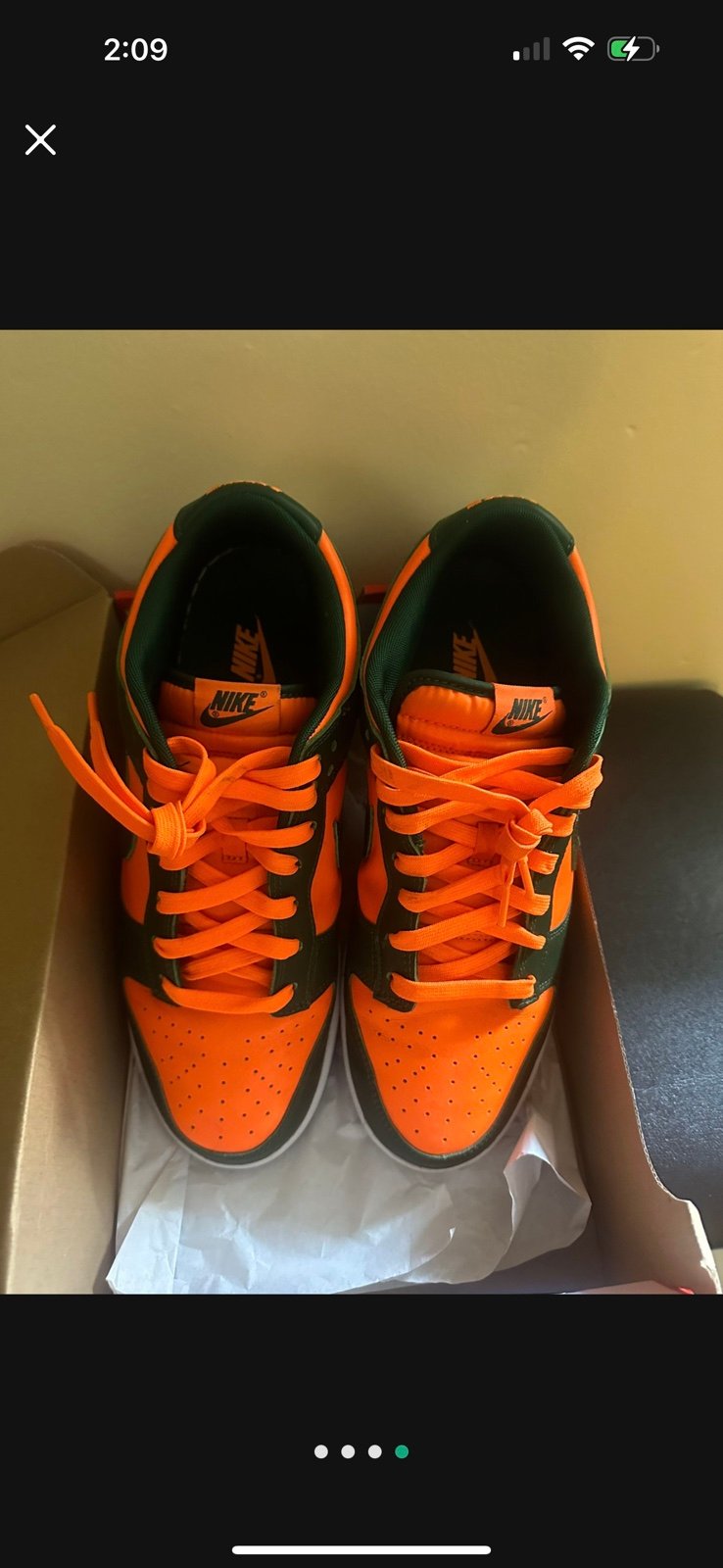 Nike UM Dunks