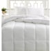 Hotel collection white down comforter