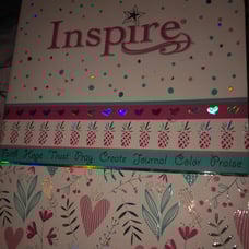 Niv bible