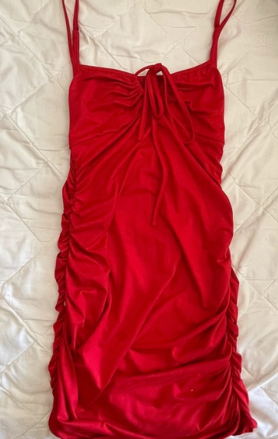 Red Dress skirt