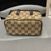 GUCCI VANITY BAG