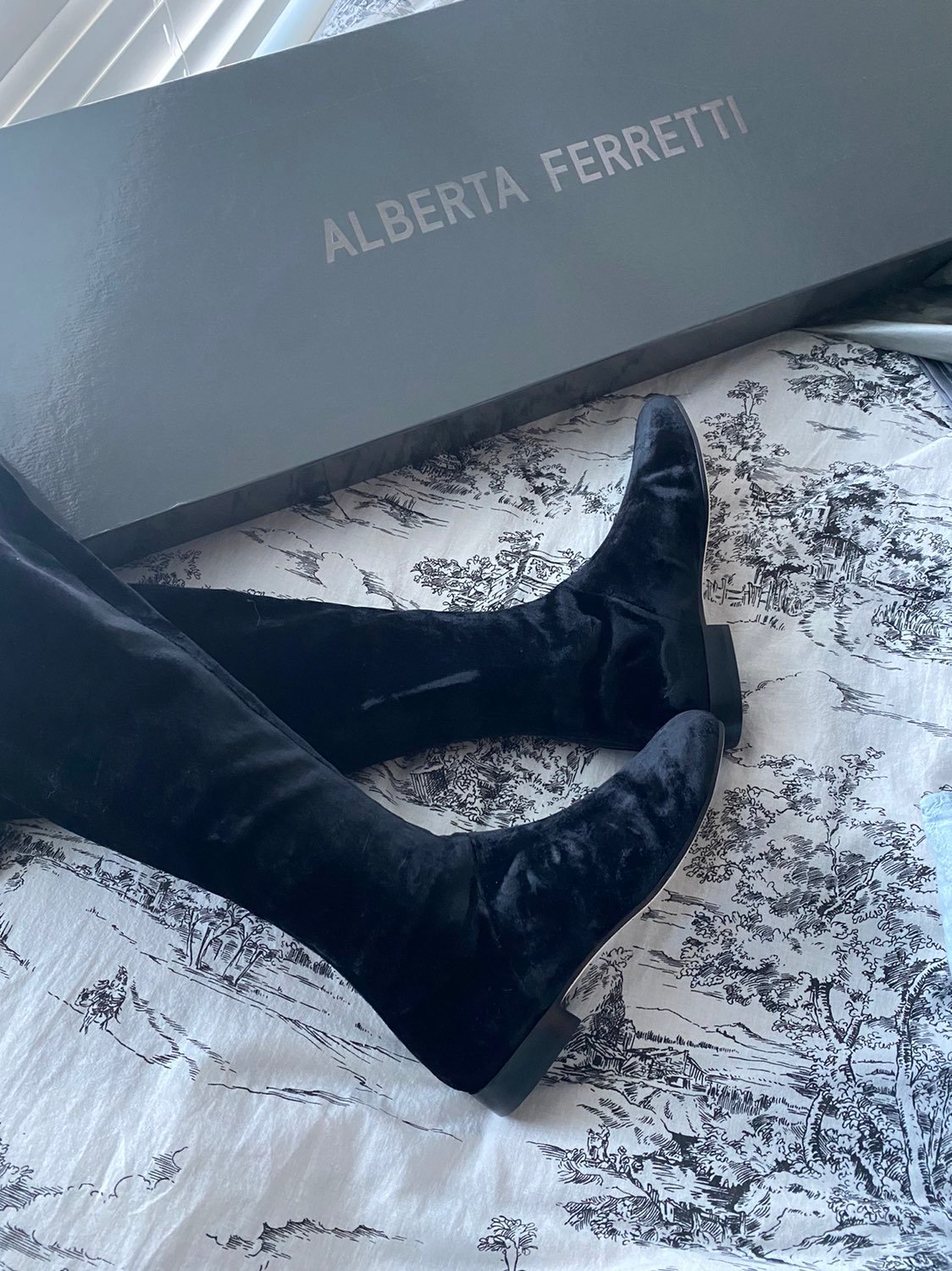 Alberta Ferretti Velvet Over the Knee Bo