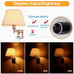 Bedside Wall Mount Light 2 pack