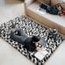 Fluffy Leopard Print Rug, Modern Shag Cheetah Rugs Home Decor for Teen, 4x6 Fee