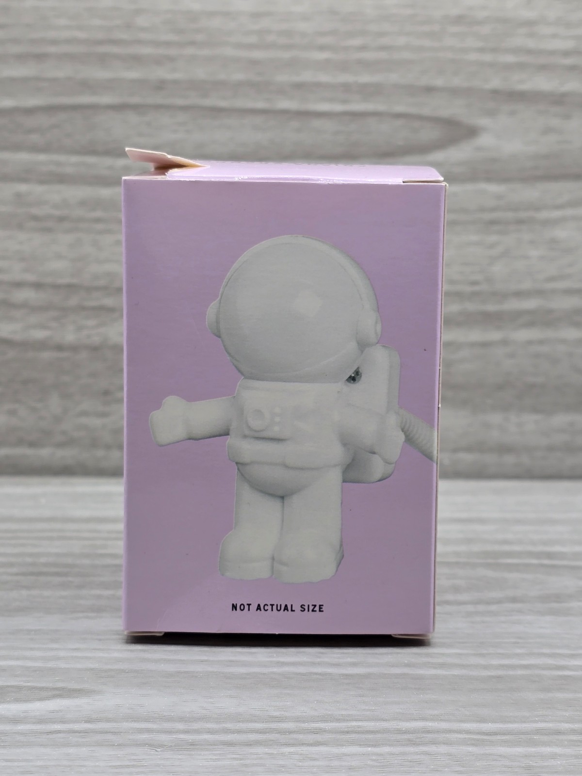 Ariana Grande Miniature Astronaut