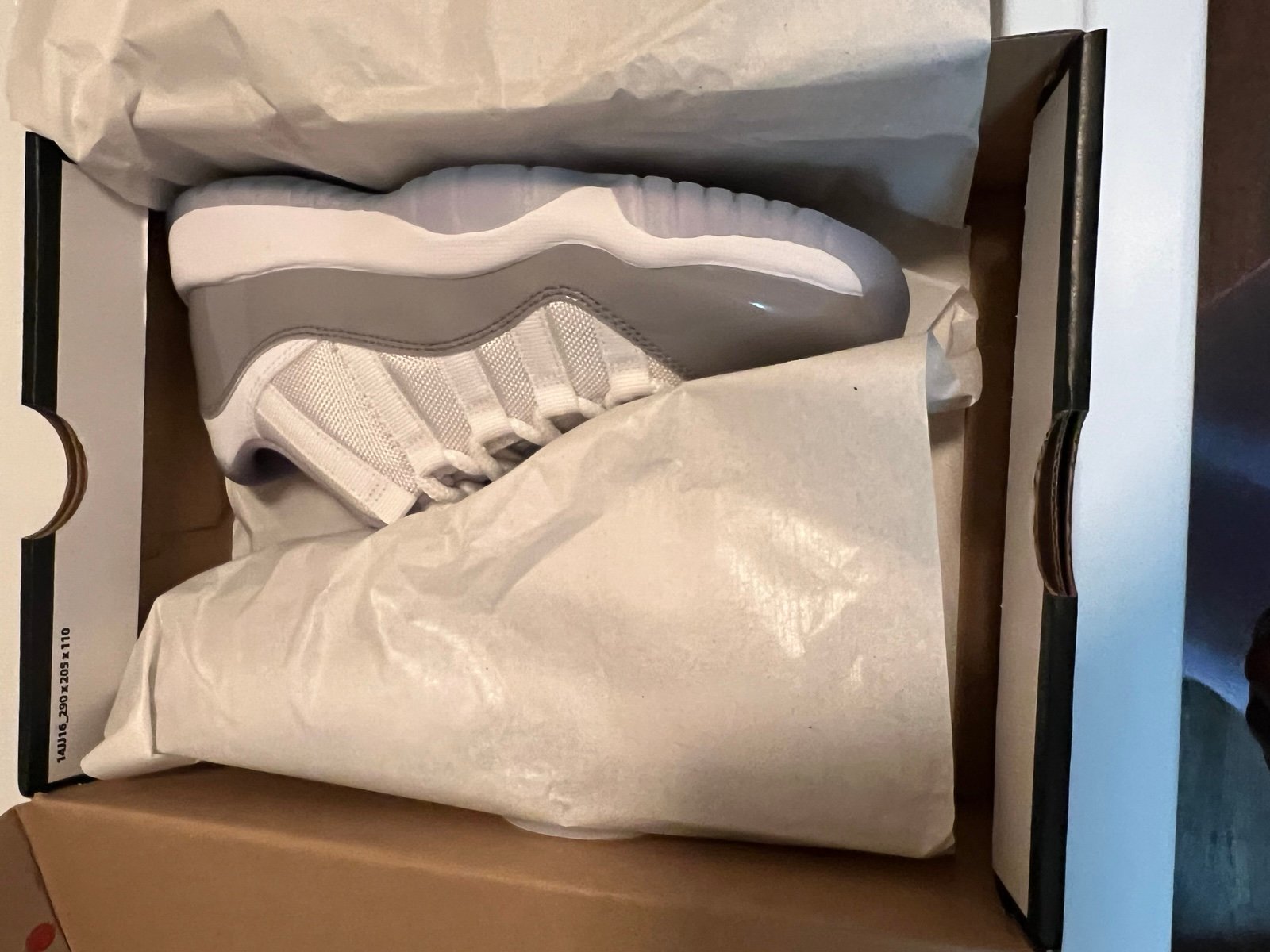 Retro Jordan 11s