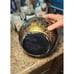 Rare Black & Gold BABY SEAL Ice Bucket Mid Century Modern MCM Retro