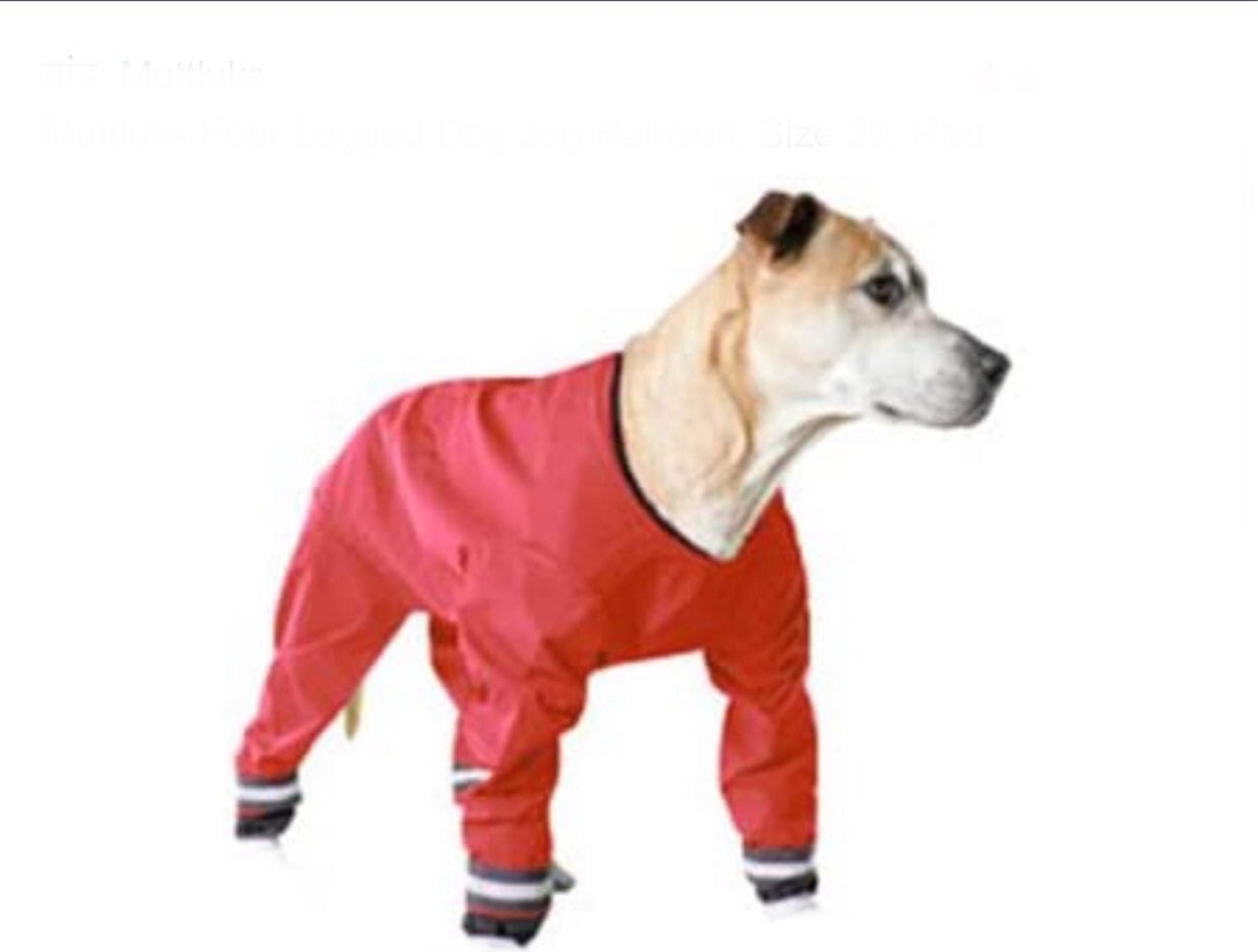 Muttluks Dog Jog Rainsuit