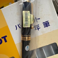 PILOT FK-300WR-BM Black Fountain Pen Medium Size
