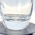 Villeroy & Boch Premium Crystal Glass Scotch Whisky Glasses Set of 2 Signed