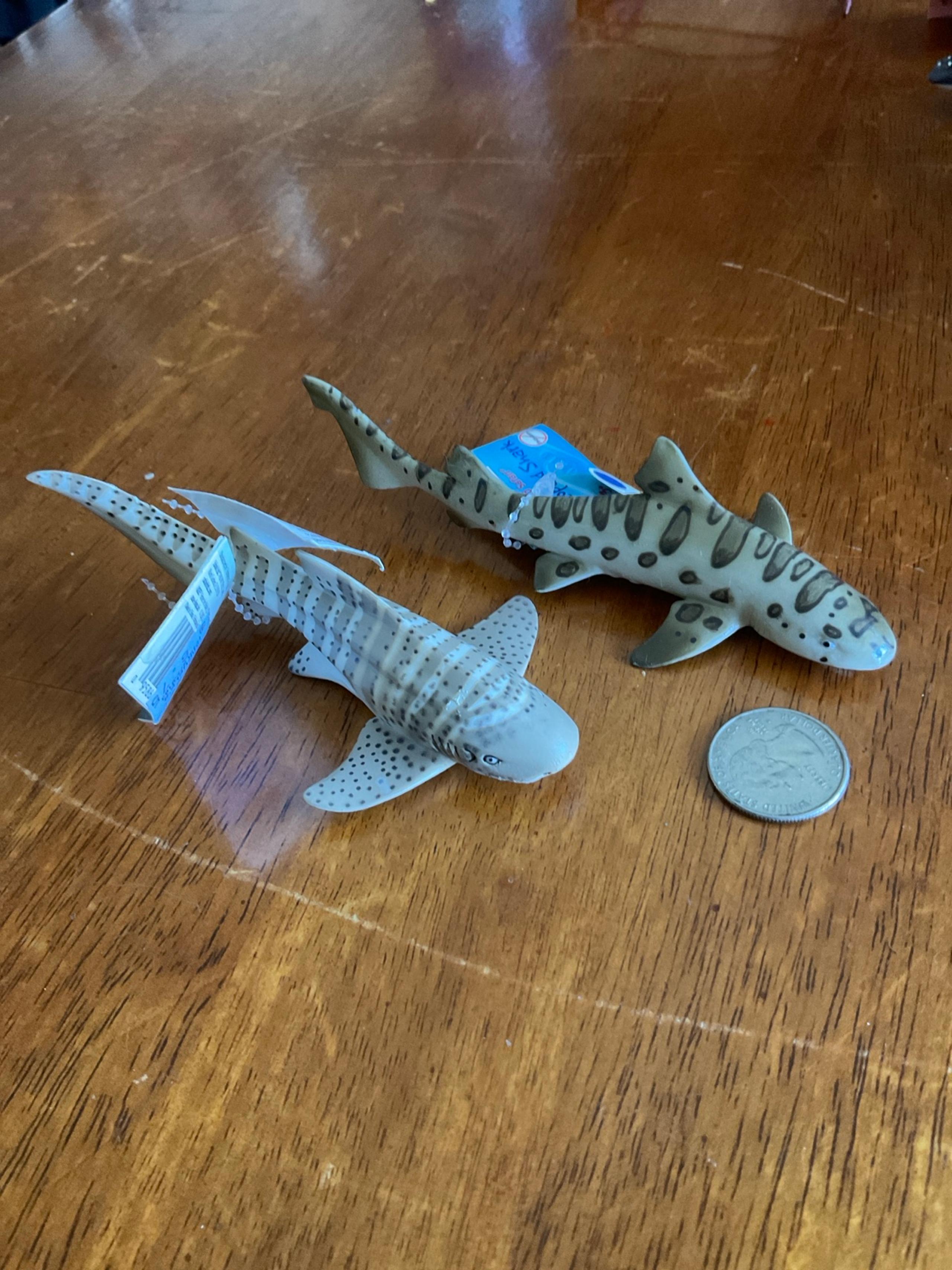Safari Ltd Sharks