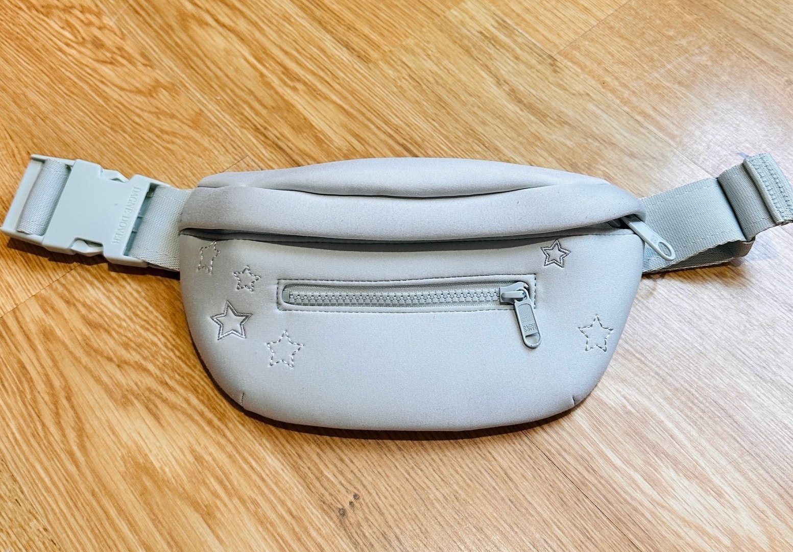 Dagne Dover Ace Neoprene Fanny Pack - Moon Mist Limited Edition Color