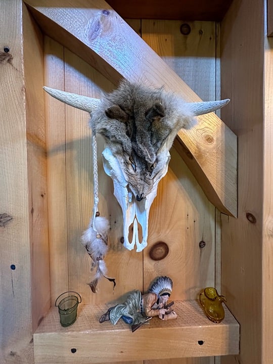 skull