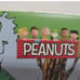 Peanuts Snoopy Charlie Brown Sports Baseball Building Blocks set 171 Pcs New