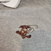 Vintage Classic Looney Tunes Collection Taz Golf Shirt