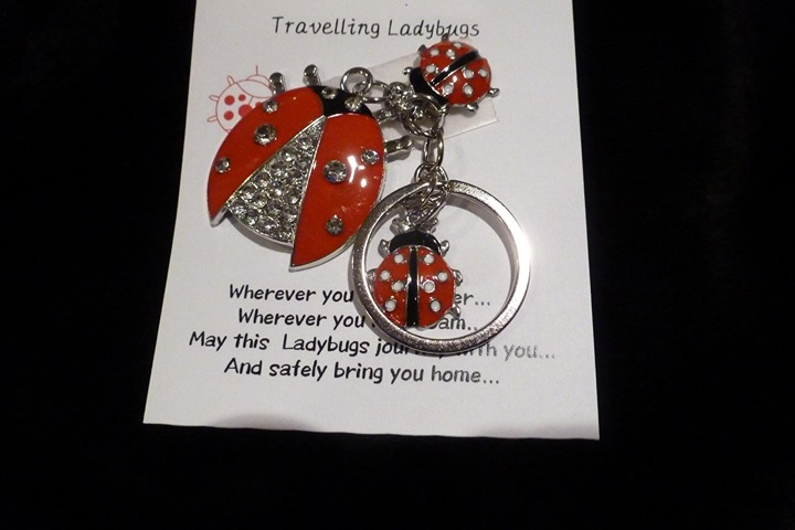 Traveling Large Rhinestone Lady Bug With 2 Baby bugs