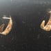 Earrings JJT