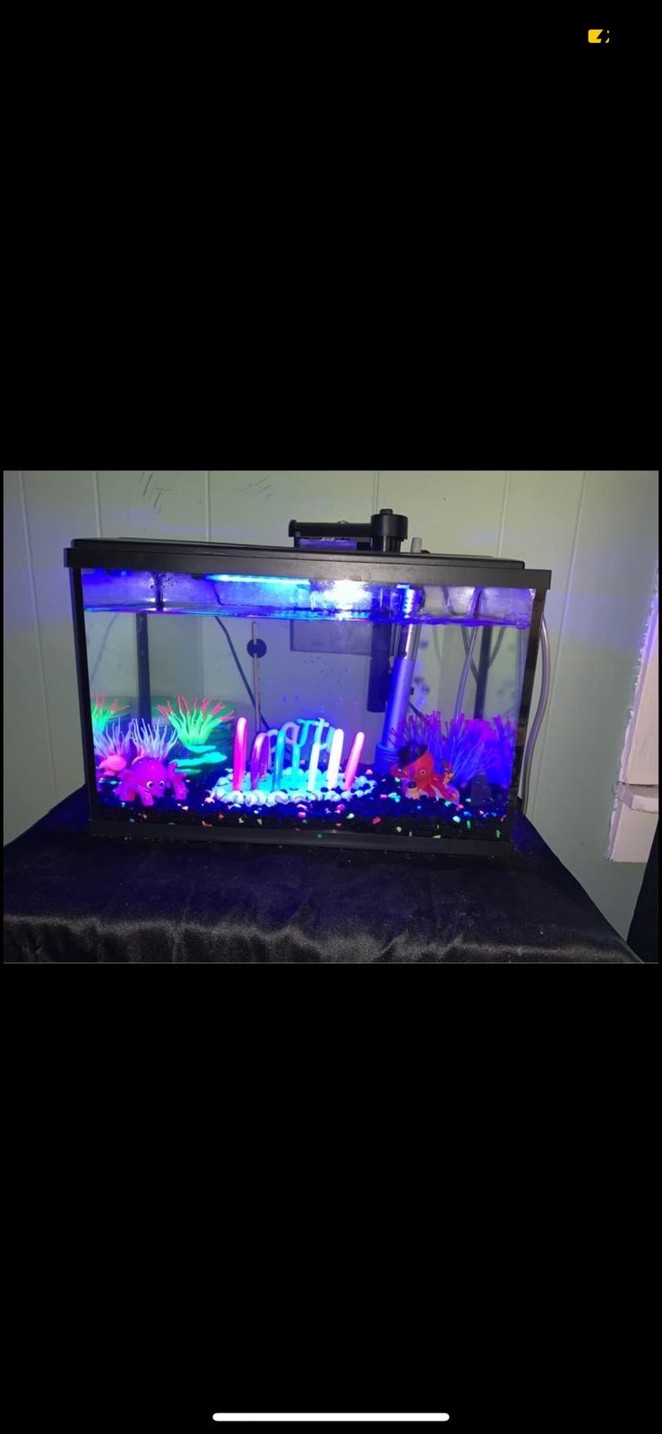 fish tank decor and fish tank
