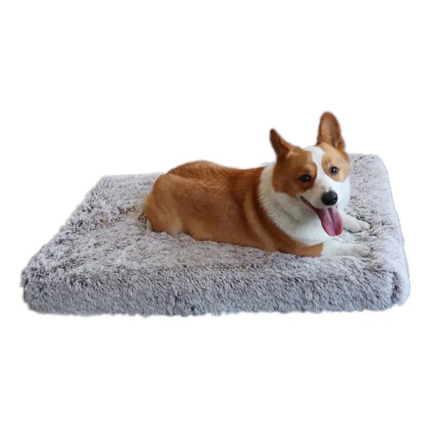 POOCH-LABS Coffee White Extra Large Plush Washable Dog Bed