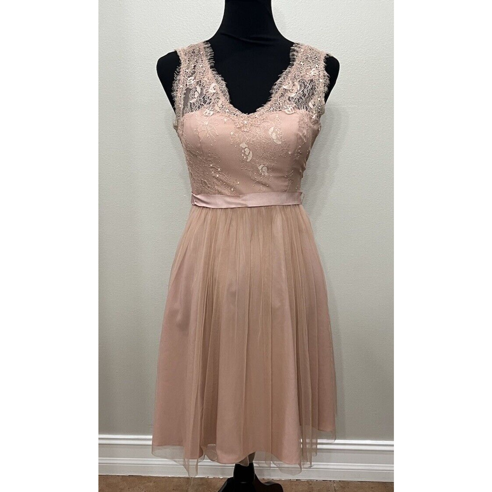 Anthropology Hitherto Pink Lace Dress Mid Length Size 2 Fairy Coquette Whimsy