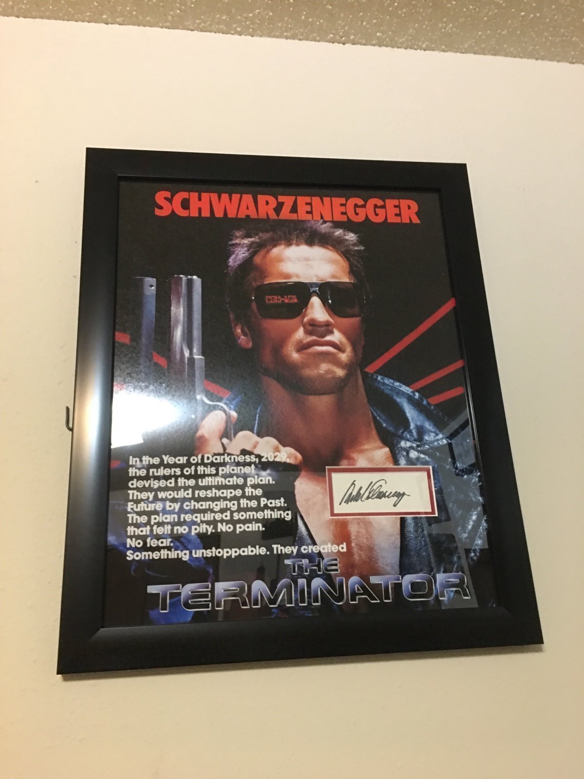 Arnold Schwarzenegger Terminator signed display