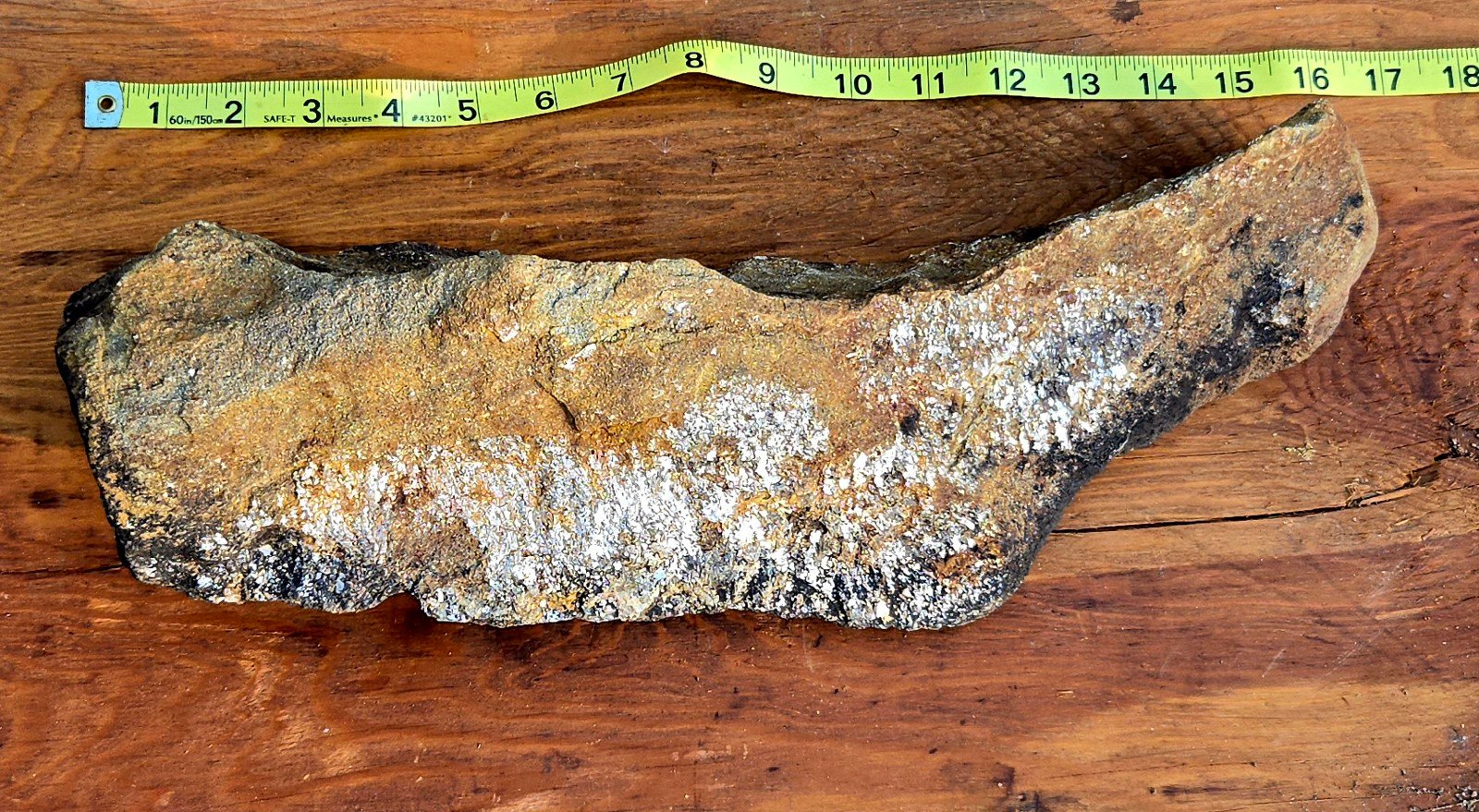 Dinosaur Jaw Bone/Fossil - Weighs 8 lbs!