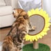 Lovely Caves Sunflower Cat Scratching Post Cat Scratcher Cat Tree