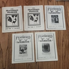 The Feathered Warrior