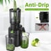 Amzchef slow juicer black