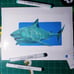 Great White Shark Drawing.